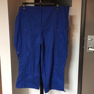 Style & Co Woman Size 20W Blue Capri